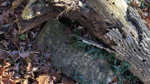 19th Mile Creek Cemetery - 19th Mile (4).JPG