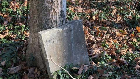 19th Mile Creek Cemetery - 19th Mile (7).JPG