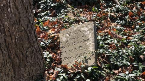 19th Mile Creek Cemetery - 19th Mile (8).JPG