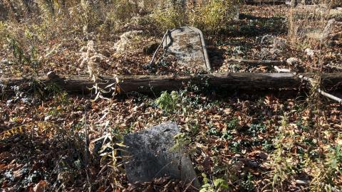 19th Mile Creek Cemetery - 19th Mile (11).JPG