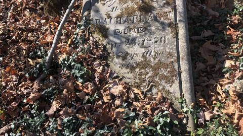 19th Mile Creek Cemetery - 19th Mile (13).JPG