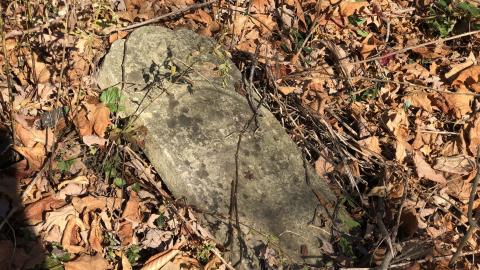 Photo from 19th Mile Creek Cemetery