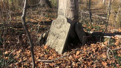 19th Mile Creek Cemetery - 19th Mile (19).JPG