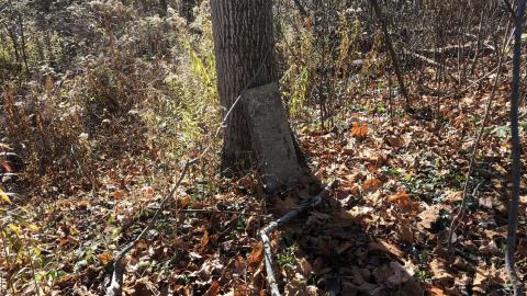 19th Mile Creek Cemetery - 19th Mile (20).JPG