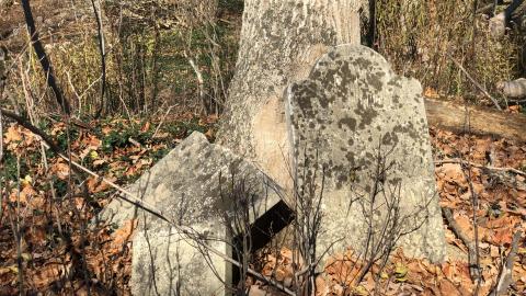 19th Mile Creek Cemetery - 19th Mile (21).JPG