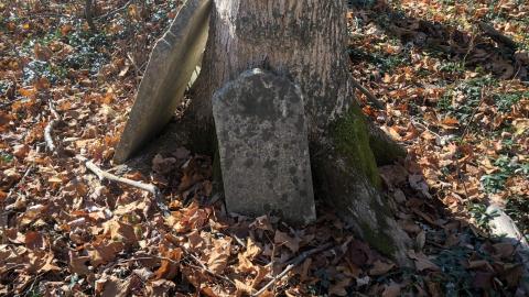 19th Mile Creek Cemetery - 19th Mile (22).JPG