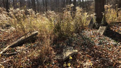 19th Mile Creek Cemetery - 19th Mile (23).JPG