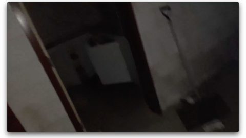 2018 visit - Screen Shot 2020-11-08 at 10.51.00 PM.png