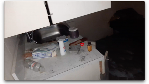 2018 visit - Screen Shot 2020-11-08 at 10.51.13 PM.png