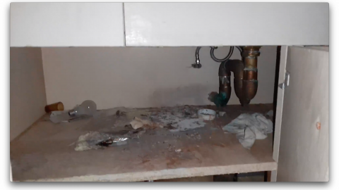 2018 visit - Screen Shot 2020-11-08 at 10.52.14 PM.png