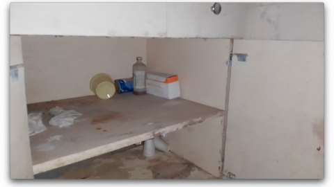 2018 visit - Screen Shot 2020-11-08 at 10.52.23 PM.png