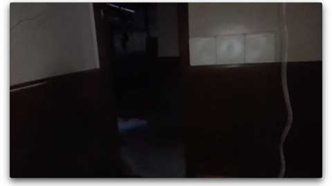 2018 visit - Screen Shot 2020-11-08 at 11.03.13 PM.png