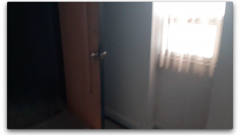 2018 visit - Screen Shot 2020-11-08 at 11.06.07 PM.png