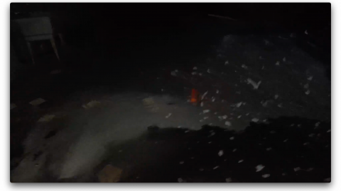 2018 visit - Screen Shot 2020-11-08 at 11.06.33 PM.png