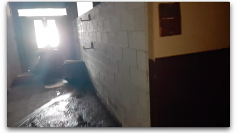 2018 visit - Screen Shot 2020-11-08 at 11.08.35 PM.png