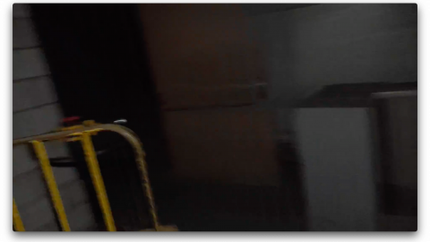 2018 visit - Screen Shot 2020-11-08 at 11.09.49 PM.png