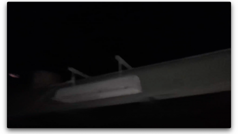 2018 visit - Screen Shot 2020-11-08 at 11.10.16 PM.png