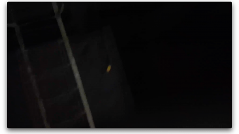 2018 visit - Screen Shot 2020-11-08 at 11.10.41 PM.png