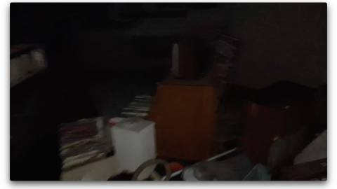 2018 visit - Screen Shot 2020-11-08 at 11.14.40 PM.png