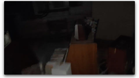 2018 visit - Screen Shot 2020-11-08 at 11.15.14 PM.png