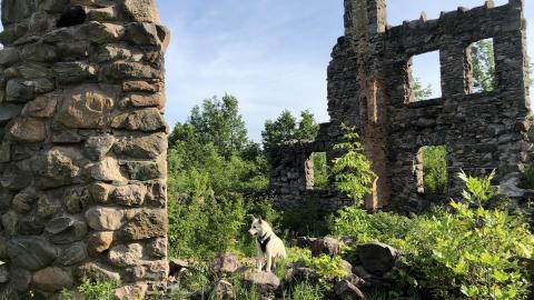 Photo from Osler Castle