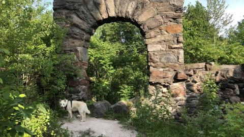 Osler Castle - Castle Glen (4)-min.JPG