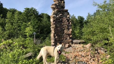 Osler Castle - Castle Glen (8)-min.JPG