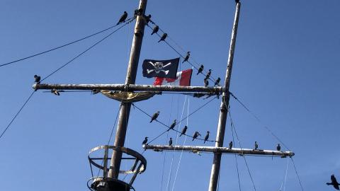 Photo from La Grande Hermine