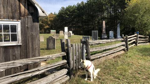 McGuigan Cemetery - McGuigan Cemetery (1)-min.JPG