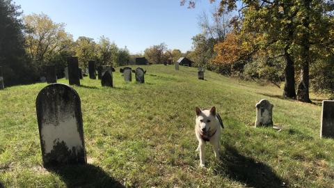 McGuigan Cemetery - McGuigan Cemetery (7)-min.JPG
