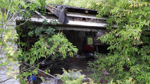 Cow Barn And Garage photo 4