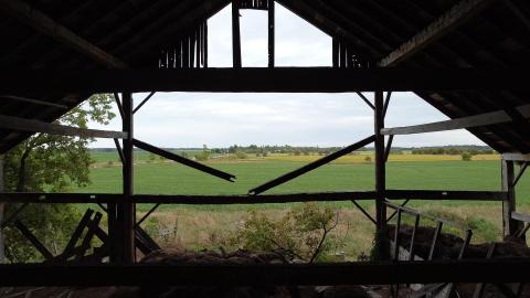 Smells like Cows - barn3_1.11.1.jpg