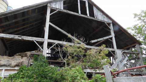 Cow Barn And Garage - Milton, Ontario
