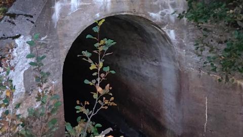 Remote. - IMG_20200923_195353.jpg