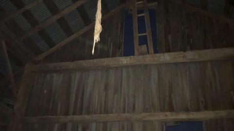 Photo from Midnight Adventure October 2020