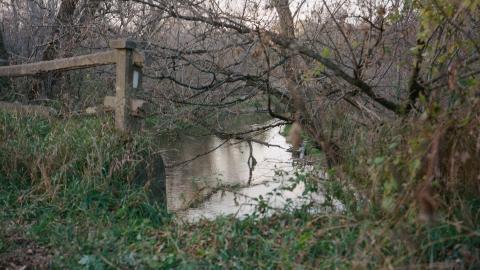 Photo from Oct 2020 Evening