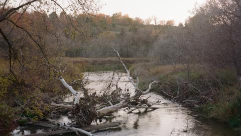 Photo from Oct 2020 Evening