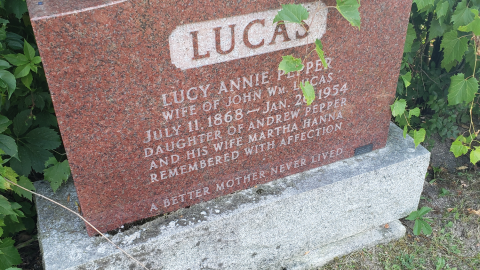 Pepper Cemetery - July 26 2020 - 4.png