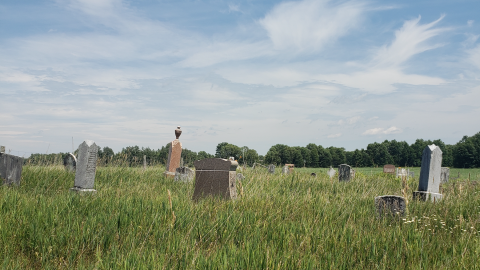 Barber Cemetery - July 26 2020 - 4.png