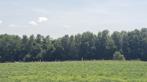 Barber Cemetery - July 26 2020 - 7.png