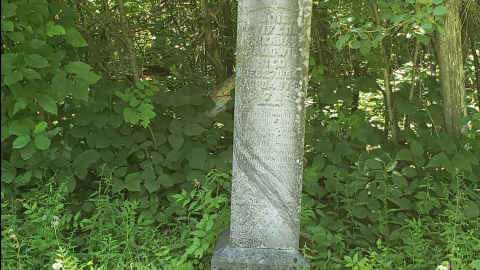 Baldwin Cemetery - July 4 2020 - 3.png
