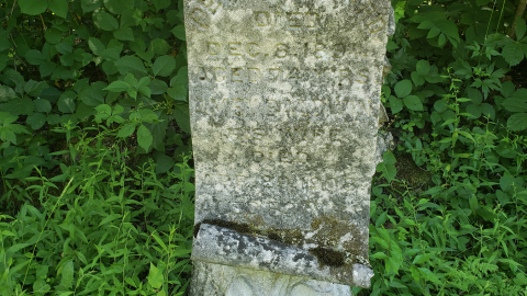 Photo from Baldwin Cemetery - July 4 2020