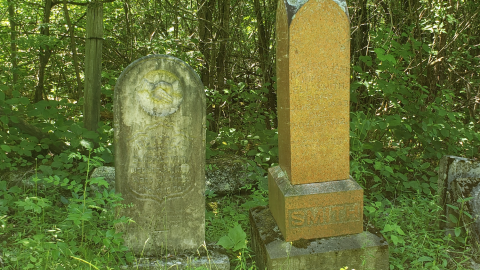 Baldwin Cemetery - July 4 2020 - 6.png