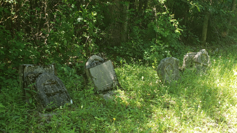 Baldwin Cemetery - July 4 2020 - 7.png