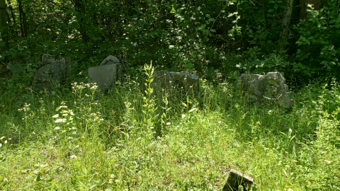 Baldwin Cemetery - July 4 2020 - 8.png