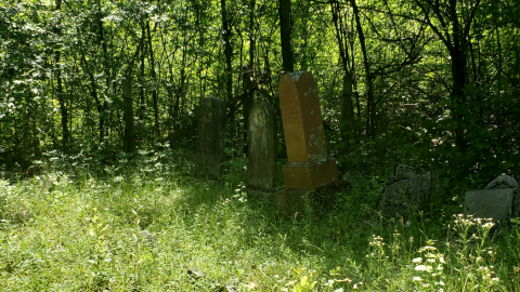 Photo from Baldwin Cemetery - July 4 2020