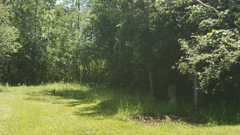 Baldwin Cemetery - July 4 2020 - 10.png