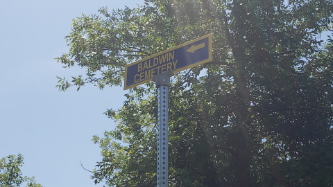 Photo from Baldwin Cemetery - July 4 2020