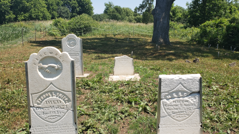Smith/Cross Cemetery - July 4 2020 - 5.png