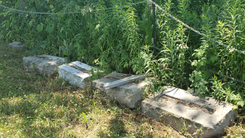 Smith/Cross Cemetery - July 4 2020 - 6.png